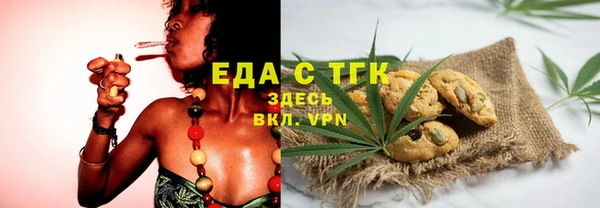 гашик Костерёво