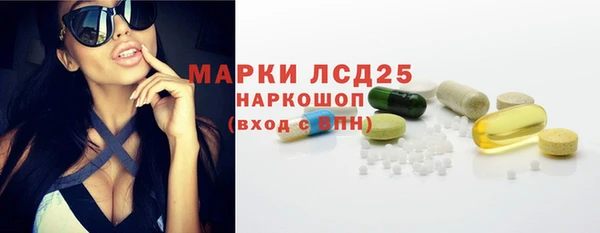 амф Корсаков