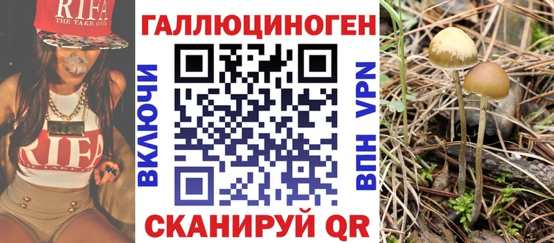 Галлюциногенные грибы Psilocybe  дарнет шоп  Ленск 